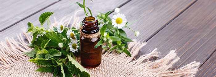 Points communs entre le CBD et les fleurs de bach